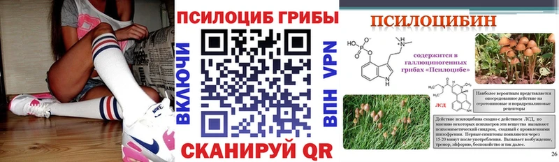 Псилоцибиновые грибы Psilocybe  Дятьково 