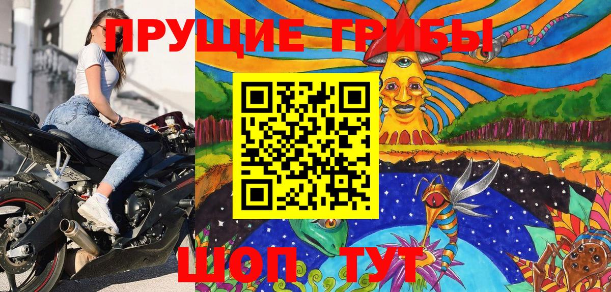 Дятьково  Псилоцибиновые грибы Magic Shrooms  Вход с VPN 